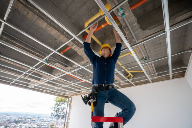 Best Affordable Plumber Near Me  in Owosso, MI