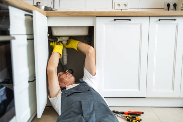  Owosso, MI Plumbing Pros